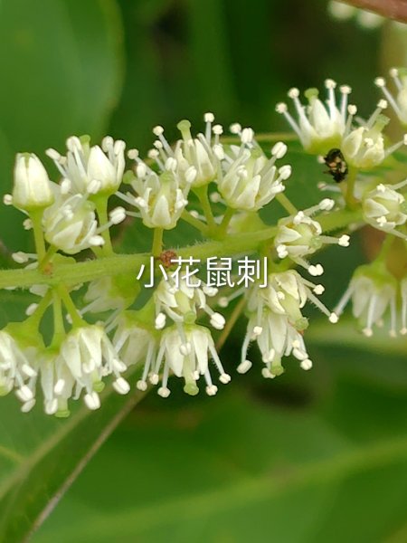 德三縱走3079443