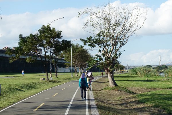 恐龍園區．江翠礫間水岸公園1171220