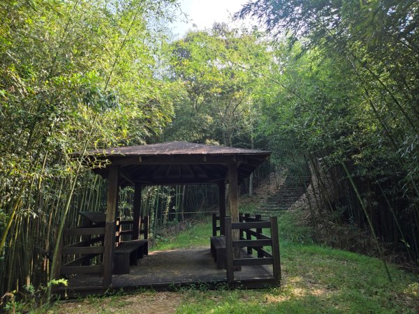 鐘樓古道、獅潭觀魚步道3127292