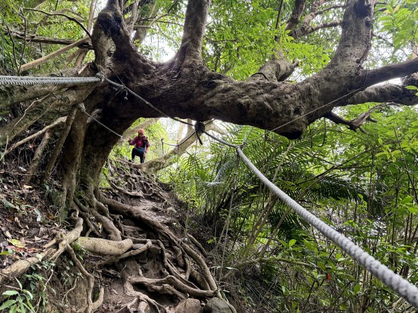 淡水搭渡輪上觀音山+占山O繞 搭公車接渡輪回淡水-202503182770647