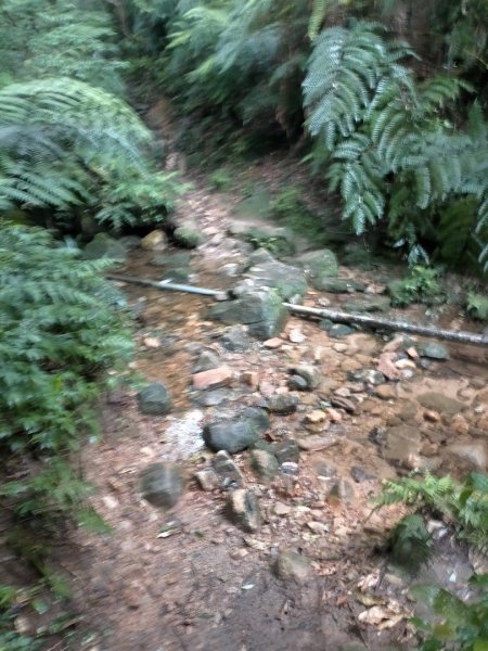 壹北大縱走第四段：風櫃嘴至大湖公園2809581