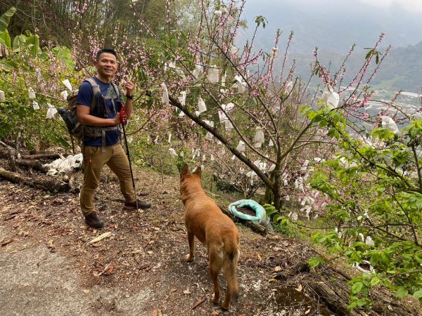 望鄉部落.獵人古道.望美山.瓊山【人與自然山林的恩怨情仇】2731373