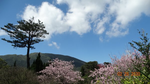 仙境?!雲霧繚繞! 2020/4th雲瀑853522