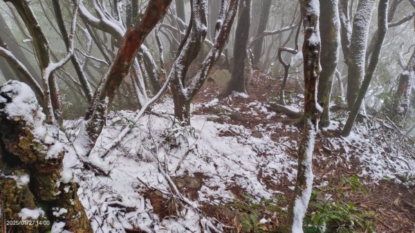 我的2025第一場雪，包場夫婦山，獨享差強人意的雪景&雲海。1/272699860