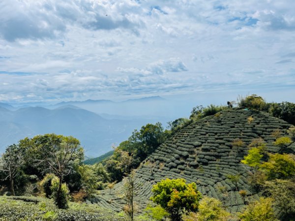 1110317阿拔泉山-觀音石山-大巃頂-獨立山O繞1645909