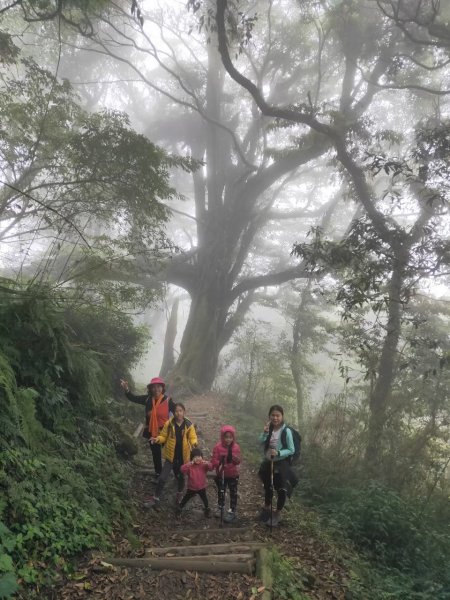 小百岳(60)-奮起湖大凍山-20200412~【2020全家總動員~28分之11】1716548