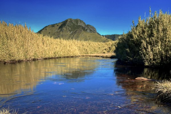 大小劍-油婆蘭全紀錄2674292