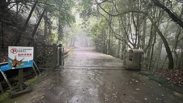 大板根+北坑山+東洗水山2551685