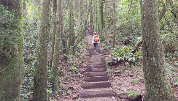 (姨婆趴趴走)第五十一集:台北冷擎步道、金包里大路(魚路古道)2757238