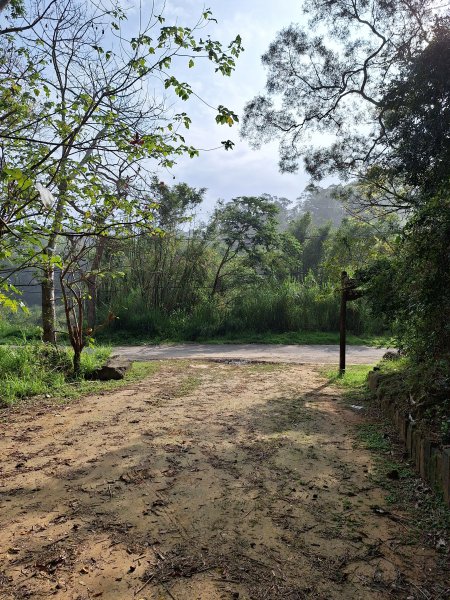 頭份鹿廚坑健行步道2734341