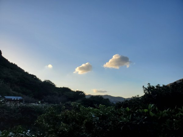 阿興阿賢秋芒宅急便（無耳茶壺山、半屏山、燦光寮山）+哈巴狗岩738434