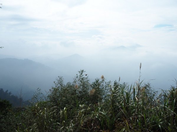 嘉義二延平步道觀雲瀑20181208478132