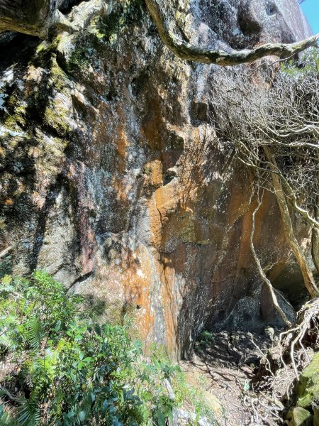 2020/03/12 那結山＆貴妃山 O形縱走1650317