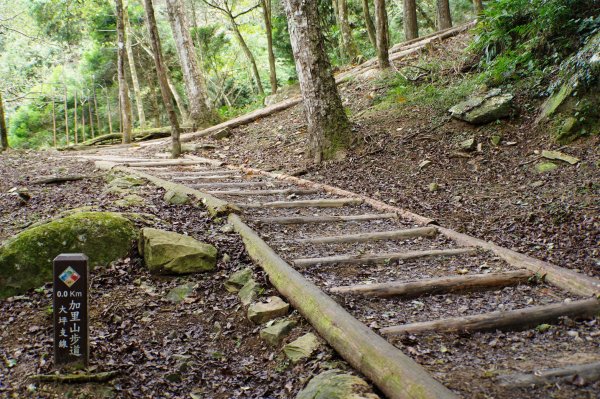 苗栗 南庄 加里山2963384