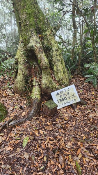 111/12/17六龜警備道：鳴海山-真我山-茂林1978072