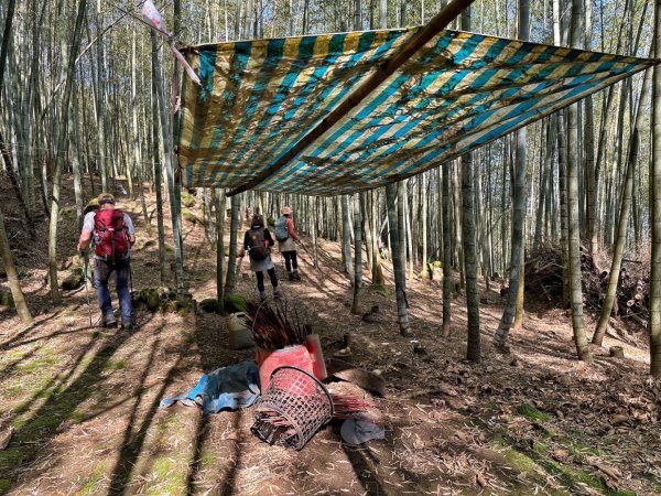 溪頭六連峰O繞2741761