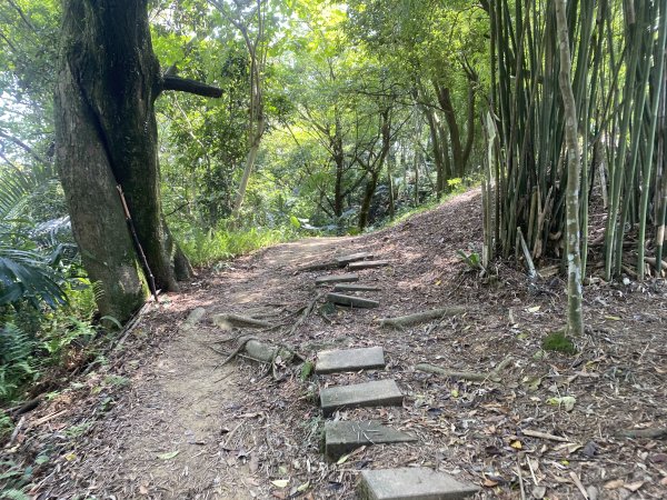 2025微笑山線大縱走尋寶集章任務-Ep.03【鳶山山系】鳶山彩壁段2893706