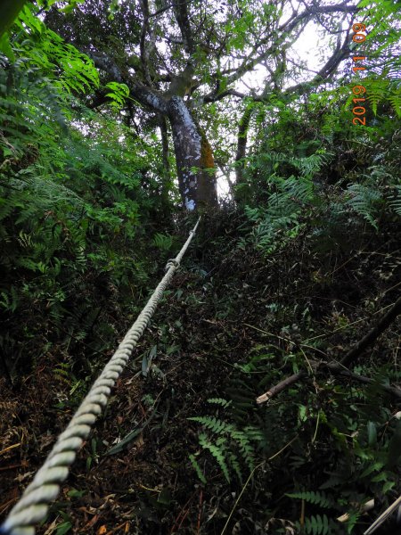 新北 深坑 魚衡山727634