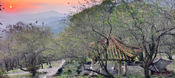 #翡翠水庫壩頂 #雲海 #日出 #陽明公園 #夕陽1/92979451