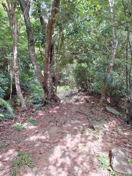 南澳朝陽步道小O202508312876507