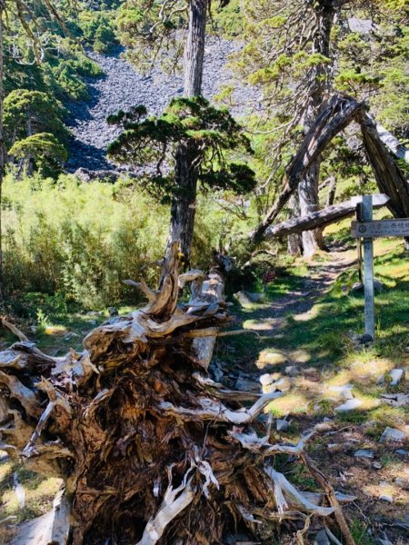 逆走雪山西稜下志佳陽1041391