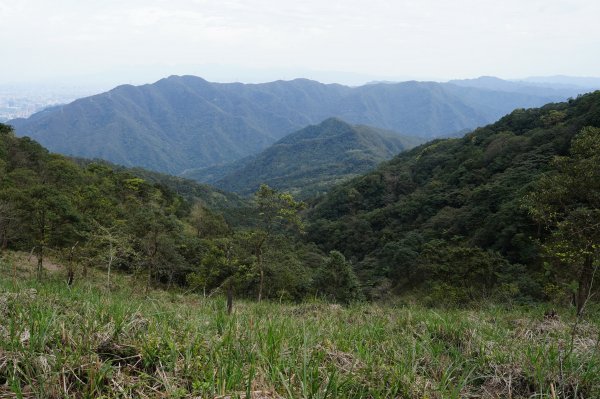 新北 烏來 大桶山、火燒樟山2728794