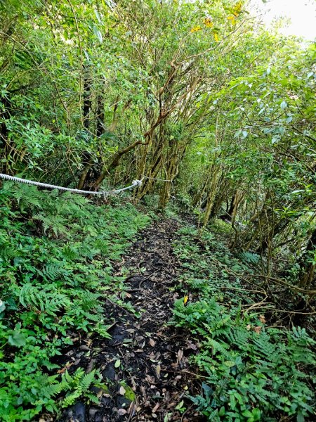 人潮滿滿的觀音山2985991