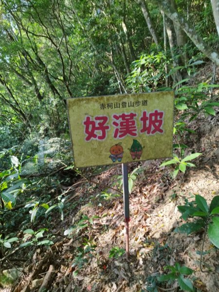 2022-10-01赤科山-赤科山南峰-東獅頭山0型縱走1867562