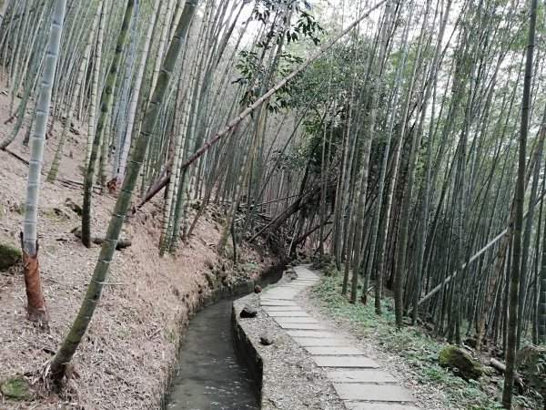 ~ 小半天長源圳生態步道 ~722819