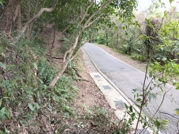 基隆市三層山+湳子大崙+淡基橫斷古道+面桶寮土地公2982238