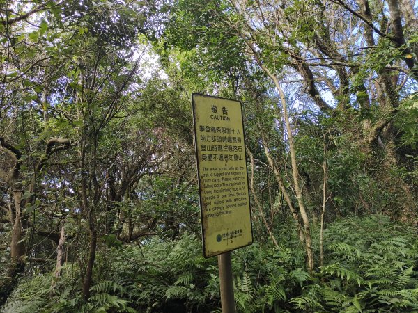 [百山百鳥尋旅-11/15] 2025_0927 大屯主峰-連峰步道_大屯山南峰2899416