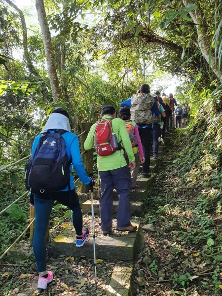 【雲嘉】後棟山連走大二尖山1478439