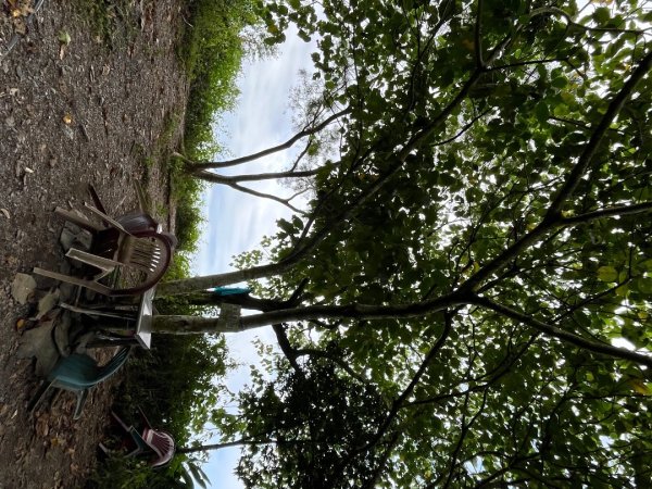 20251130_棚集山+斜坡上藝術節（屏東小百岳）2968598