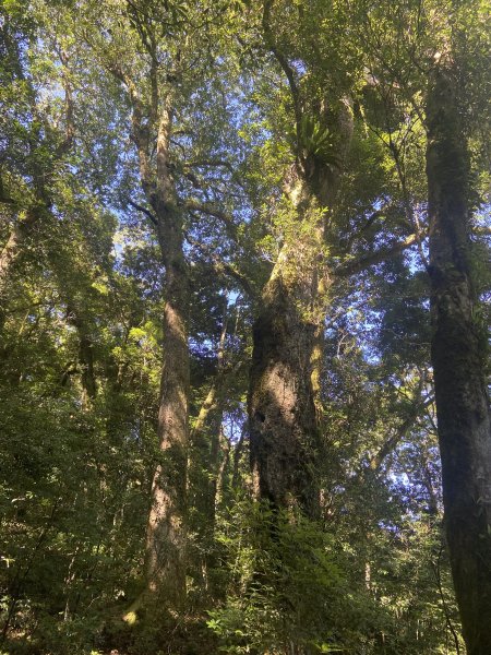 2025.6.28 煤源上李崠山經八五山 O型2824306