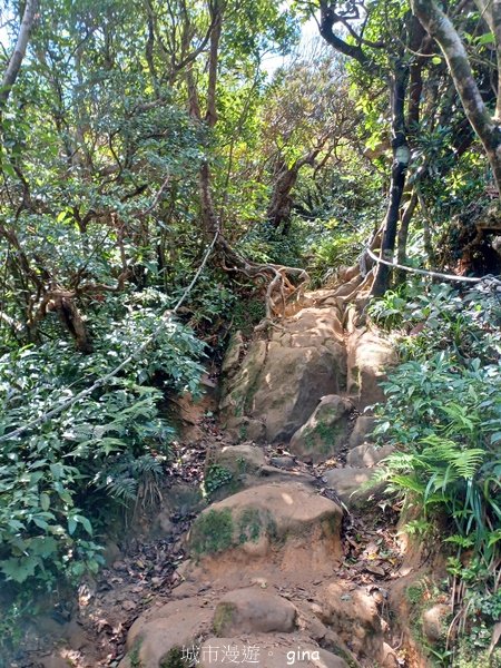 【屏東獅子鄉】海天一色。 台灣百大必訪步道~里龍山自然步道2550777
