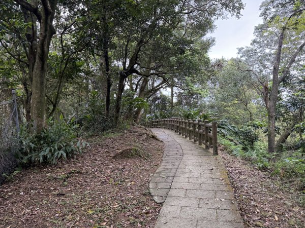 [微笑山線_第四段] 2026_0321 天上山系_石門內尖山東峰3021320