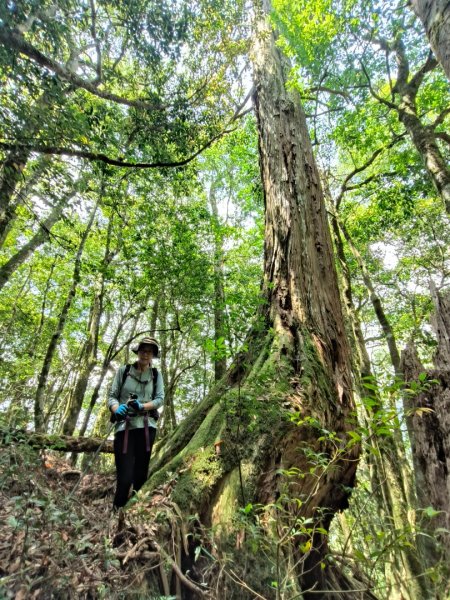 1130511夫拉縱走2500159