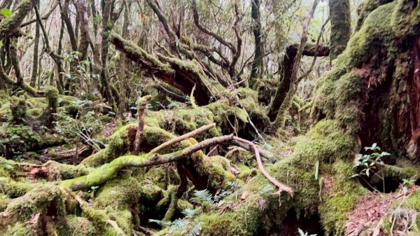🌈9/7（日）夫拉縱走（夫婦山縱走拉拉山）✨FB：熊熊趴爬走🌈2880905