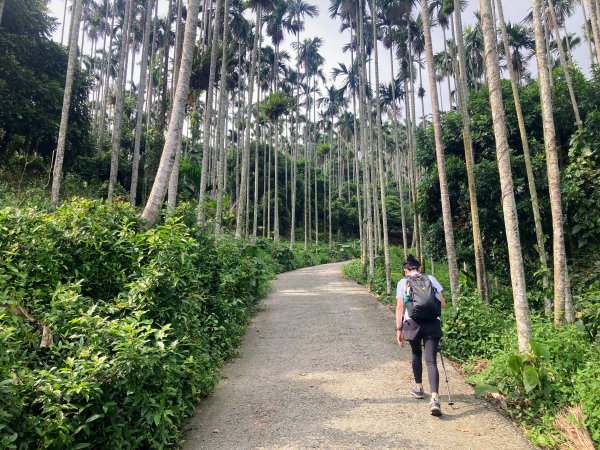 阿拔泉山稜線步道2642156