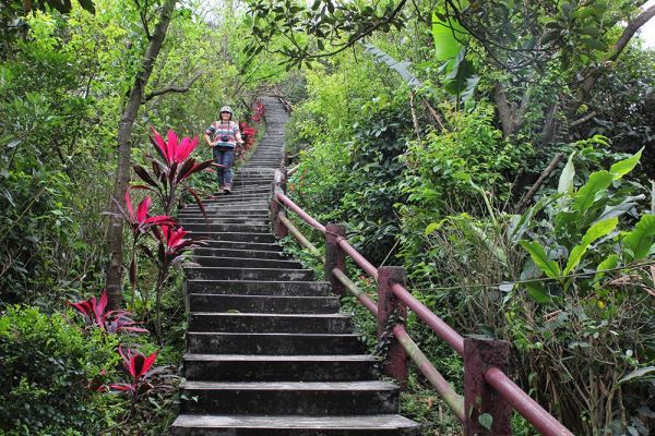 紅淡山原路來回358978