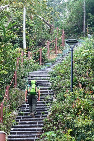 大巃頂-獨立山-阿拔泉山 O繞1680463