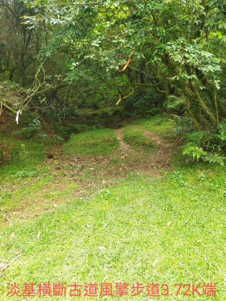 風擎步道-淡基橫斷古道-富士坪古道上大尖山1742553