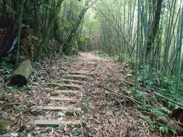 馬那邦山(小百岳編號037)720095