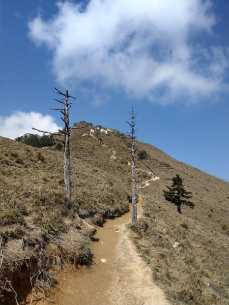 嘉明湖/向陽山/三叉山1333767