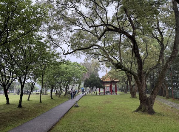 [樟之細路_第一大段RSA03] 2026_0329 石園封面