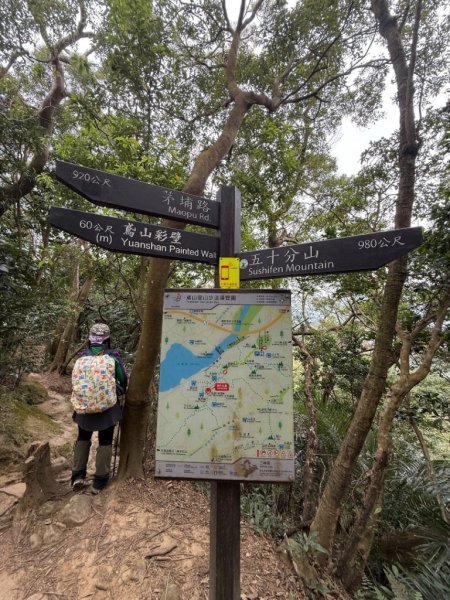 微笑山⛰️線-大棟-二格山-五分山-天上山-鳶山💎12條步道完成💙2841396