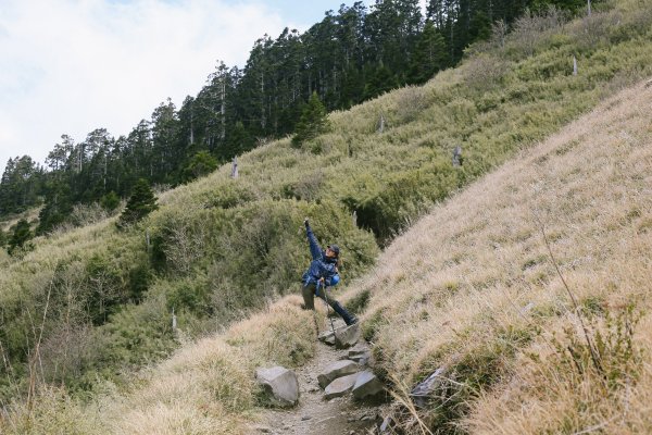 漫行百岳．台灣第二高峰．雪山1154464