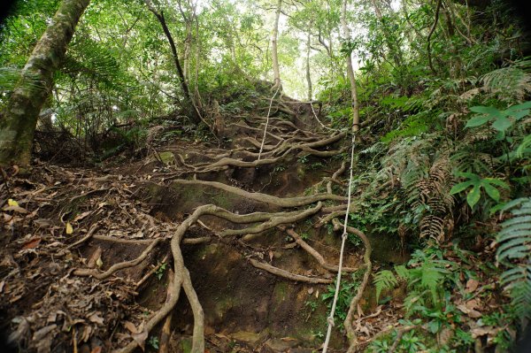 新竹 尖石 內鳥嘴山2899181