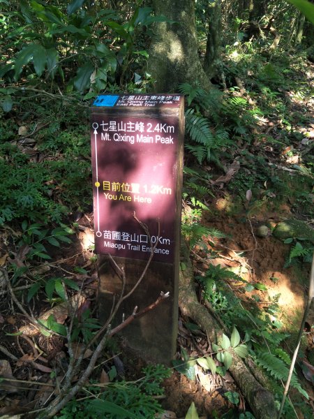 七星山主、東峰登山步道1682130