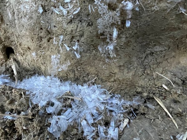 一日南橫二星人品爆發2995783